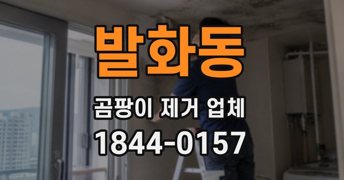 발화동 곰팡이 제거 업체