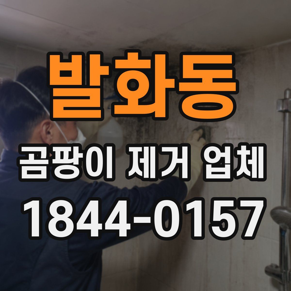발화동 곰팡이 제거 업체