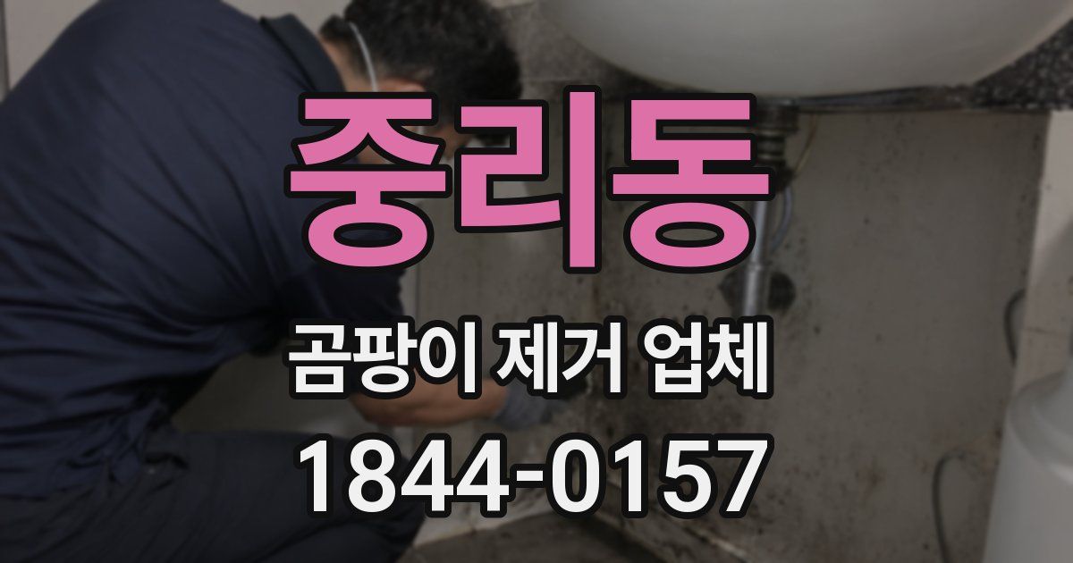 중리동 곰팡이 제거 업체