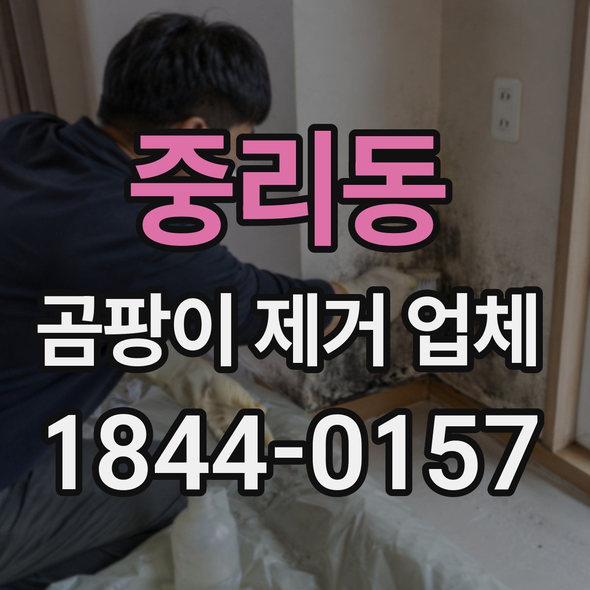 중리동 곰팡이 제거 업체