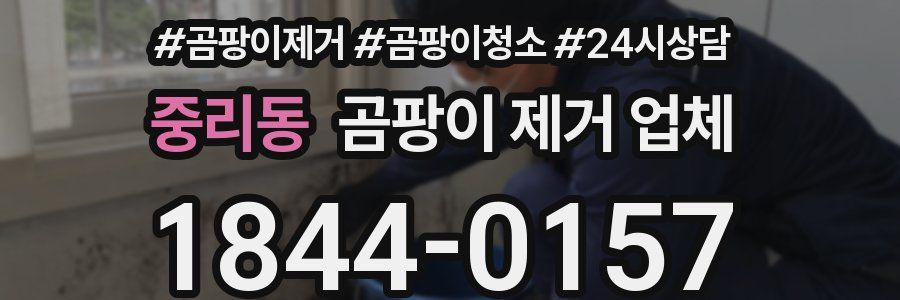 중리동 곰팡이 제거 업체
