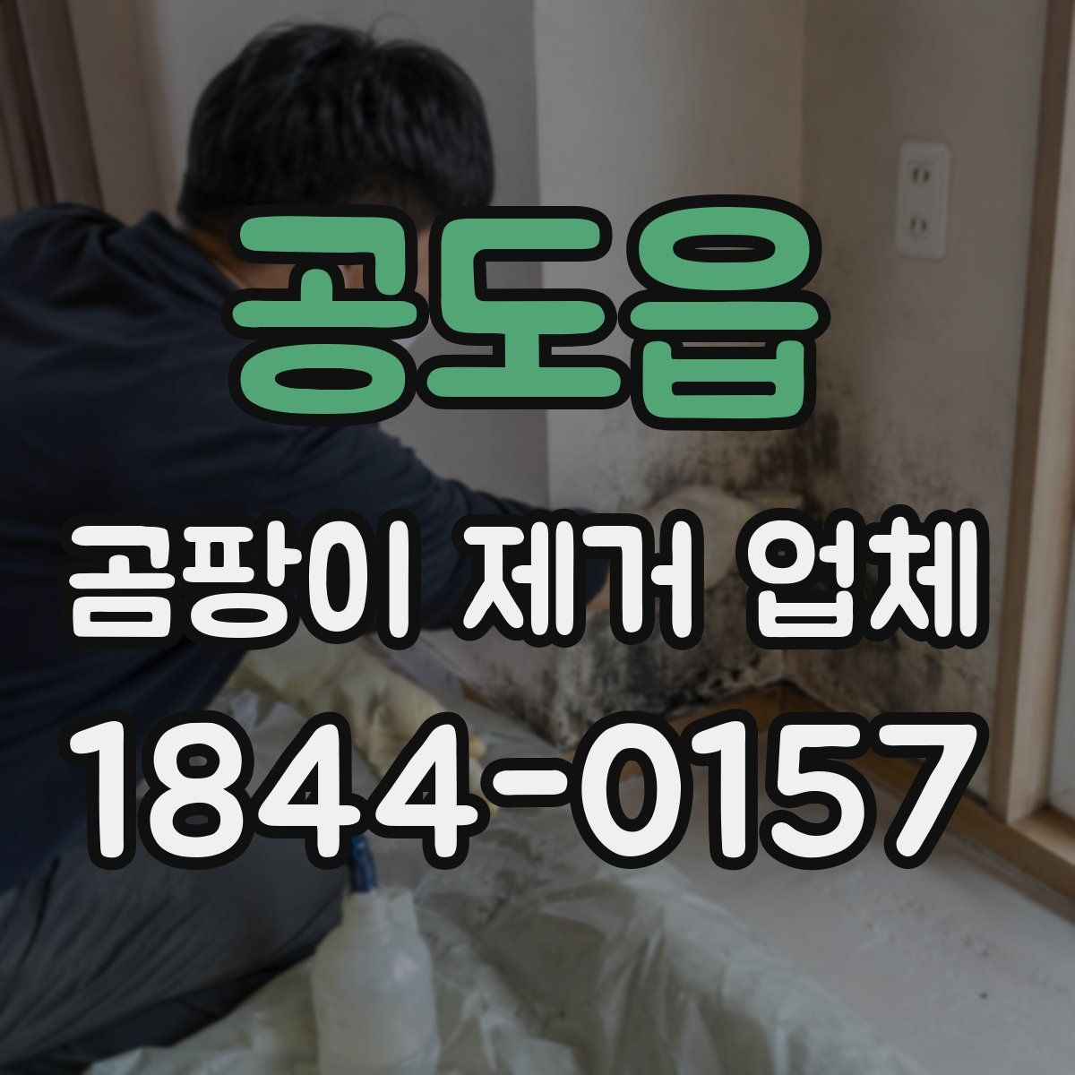 공도읍 곰팡이 제거 업체