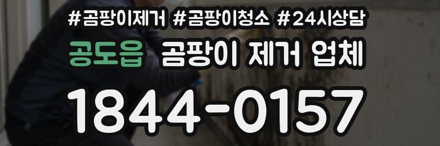 공도읍 곰팡이 제거 업체