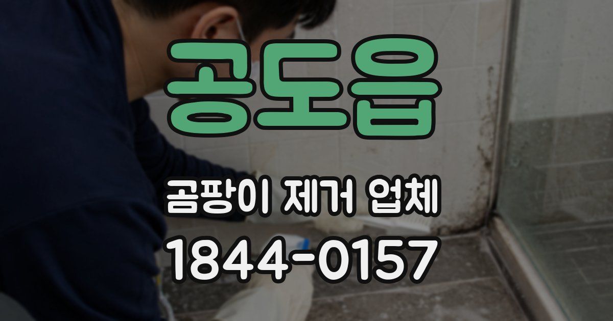 공도읍 곰팡이 제거 업체