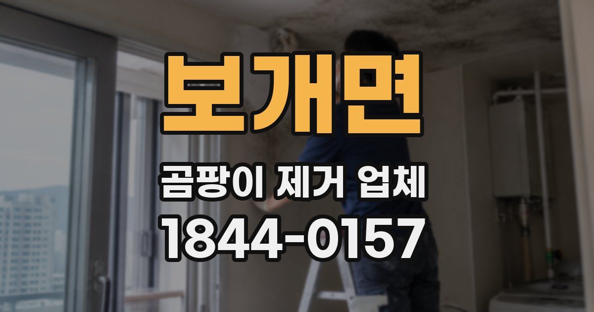 보개면 곰팡이 제거 업체