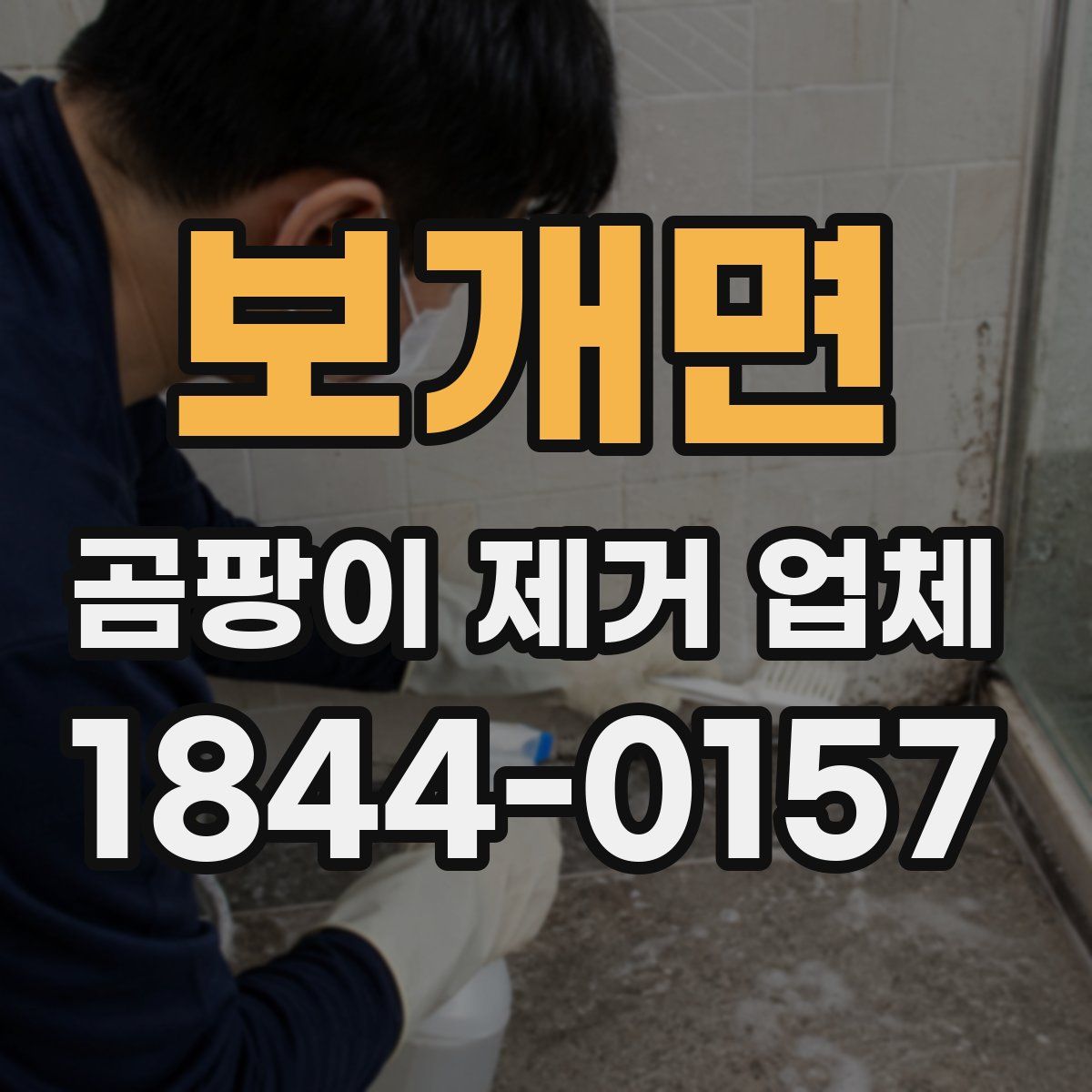 보개면 곰팡이 제거 업체