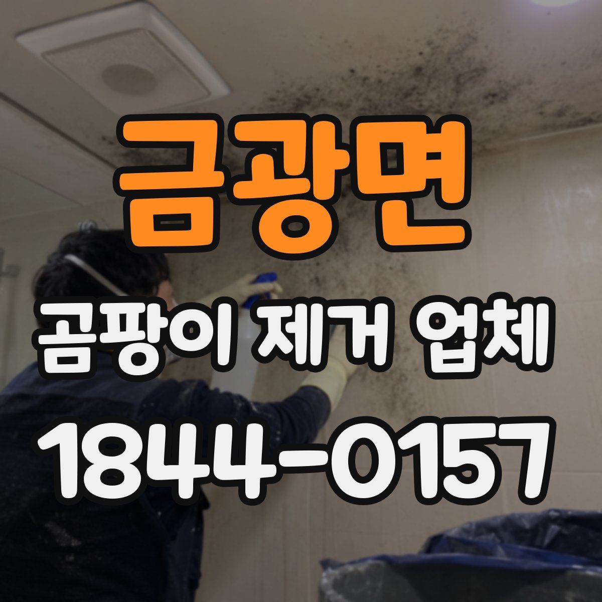 금광면 곰팡이 제거 업체