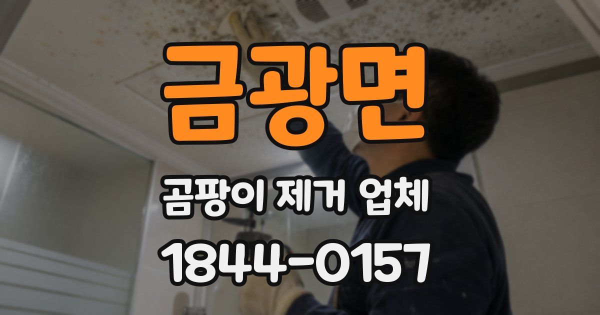 금광면 곰팡이 제거 업체
