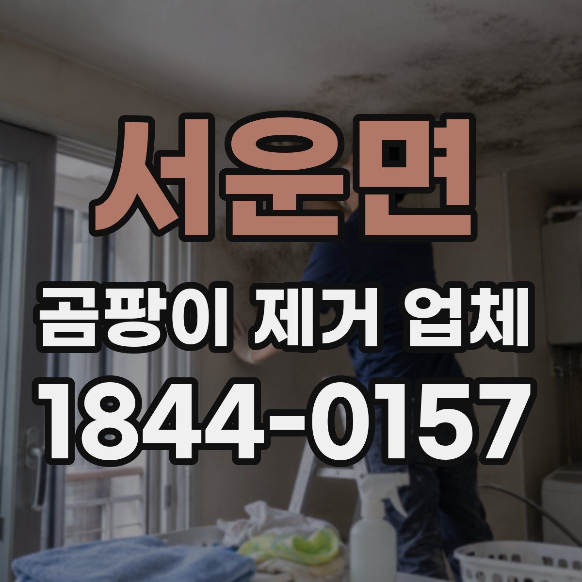서운면 곰팡이 제거 업체