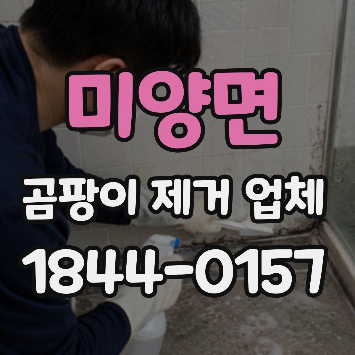 미양면 곰팡이 제거 업체