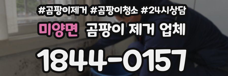 미양면 곰팡이 제거 업체