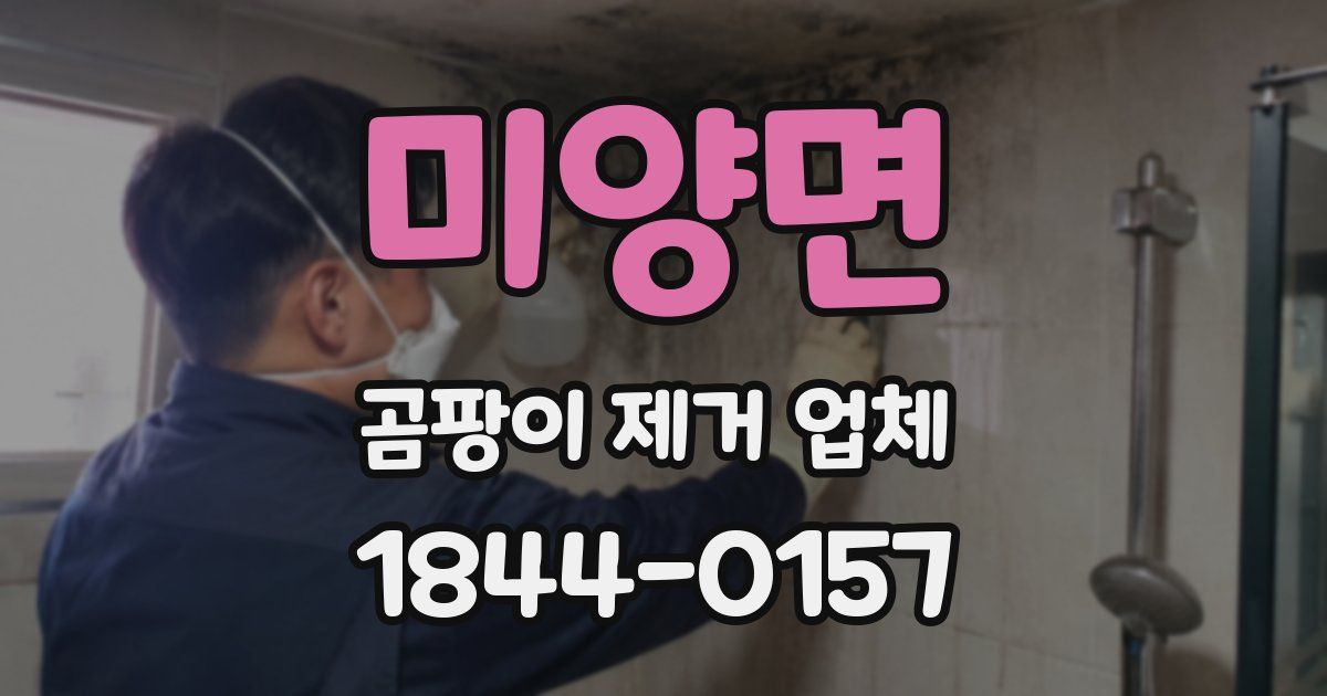 미양면 곰팡이 제거 업체