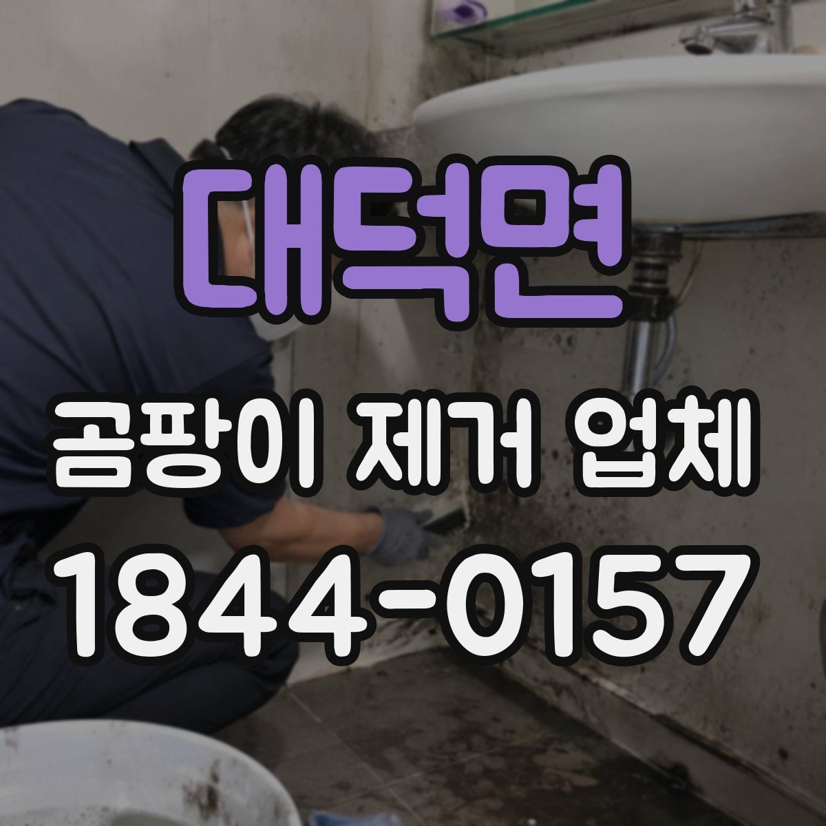 대덕면 곰팡이 제거 업체