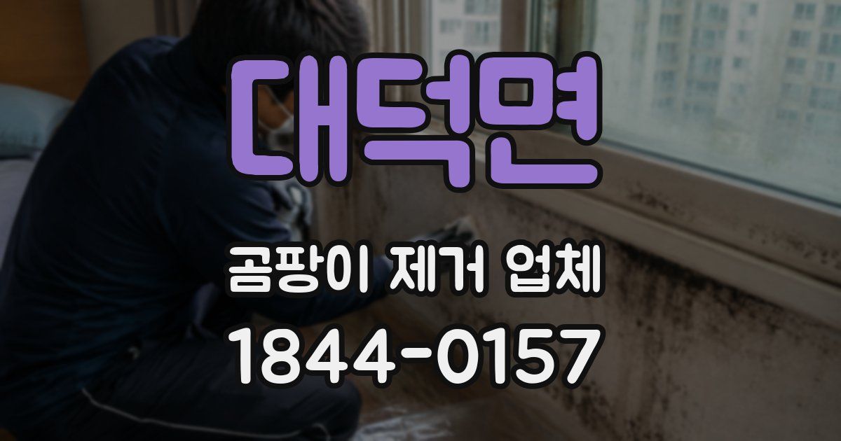 대덕면 곰팡이 제거 업체