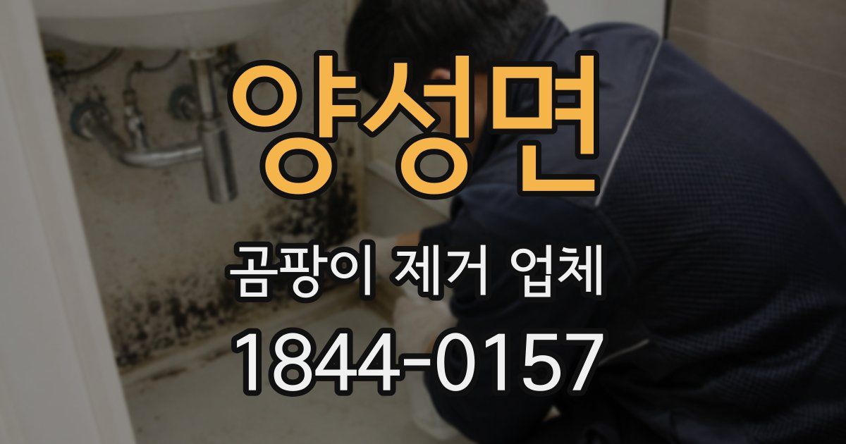 양성면 곰팡이 제거 업체
