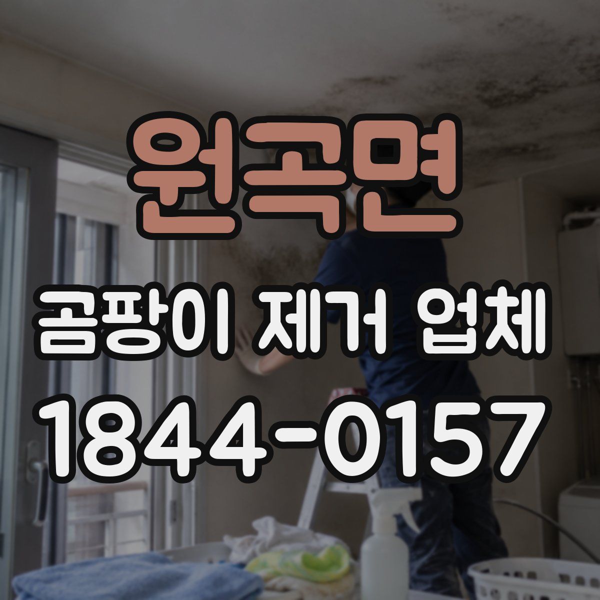원곡면 곰팡이 제거 업체