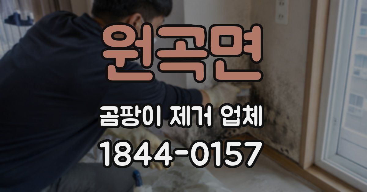 원곡면 곰팡이 제거 업체