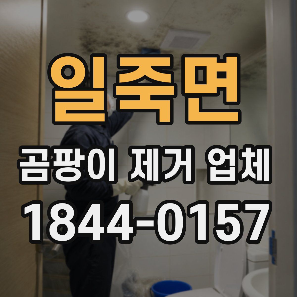 일죽면 곰팡이 제거 업체