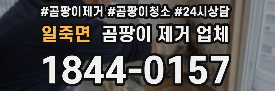 일죽면 곰팡이 제거 업체
