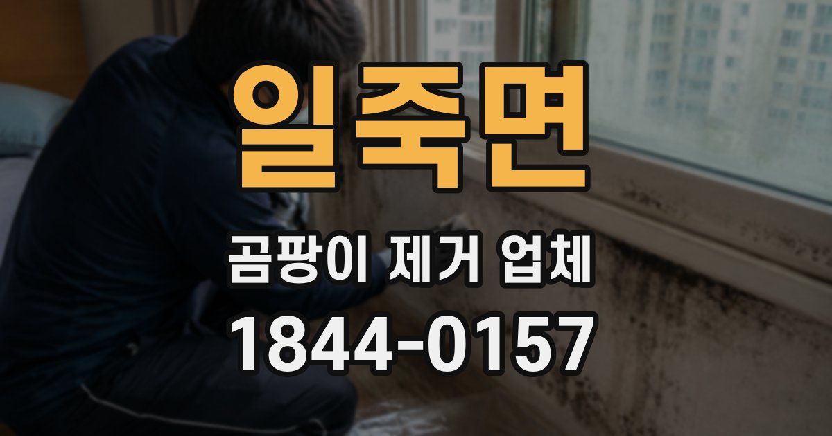 일죽면 곰팡이 제거 업체