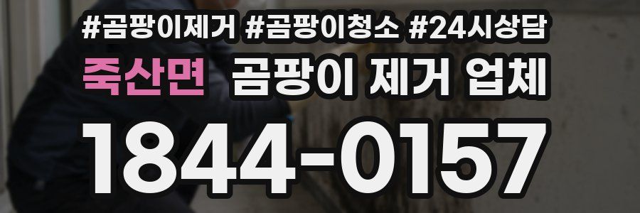죽산면 곰팡이 제거 업체