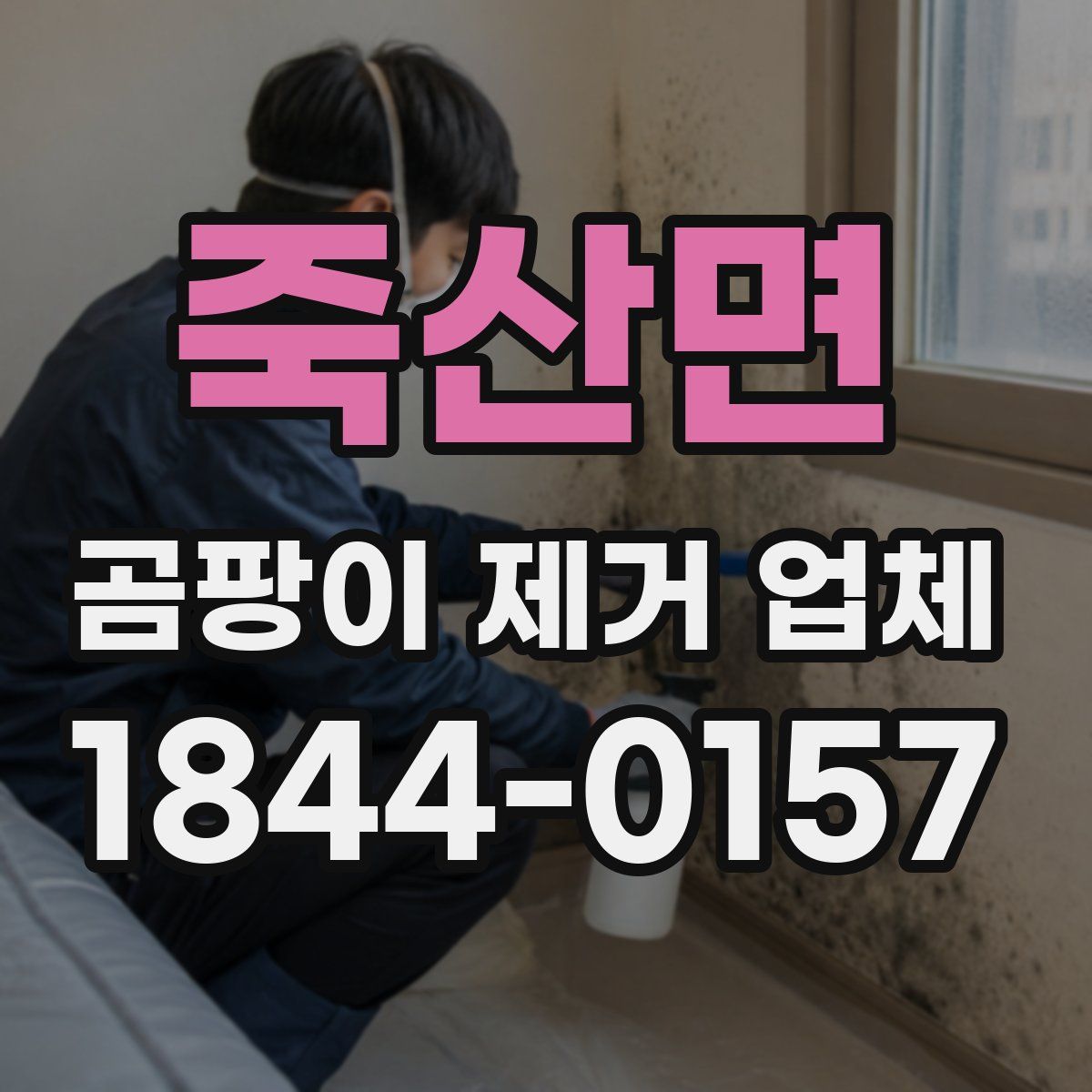 죽산면 곰팡이 제거 업체