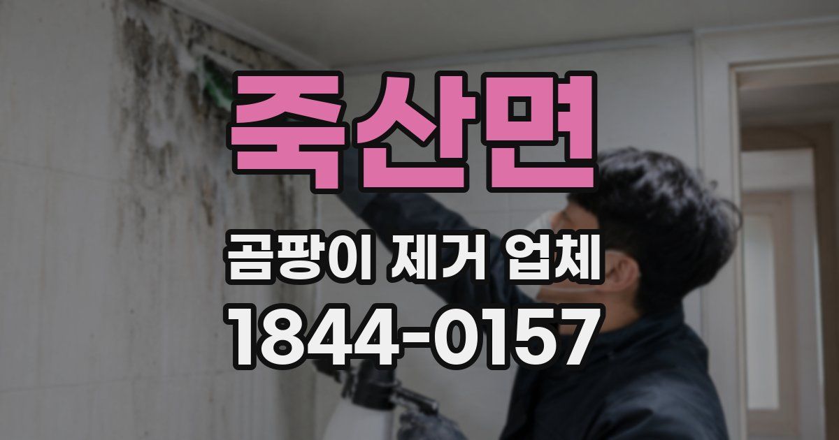 죽산면 곰팡이 제거 업체