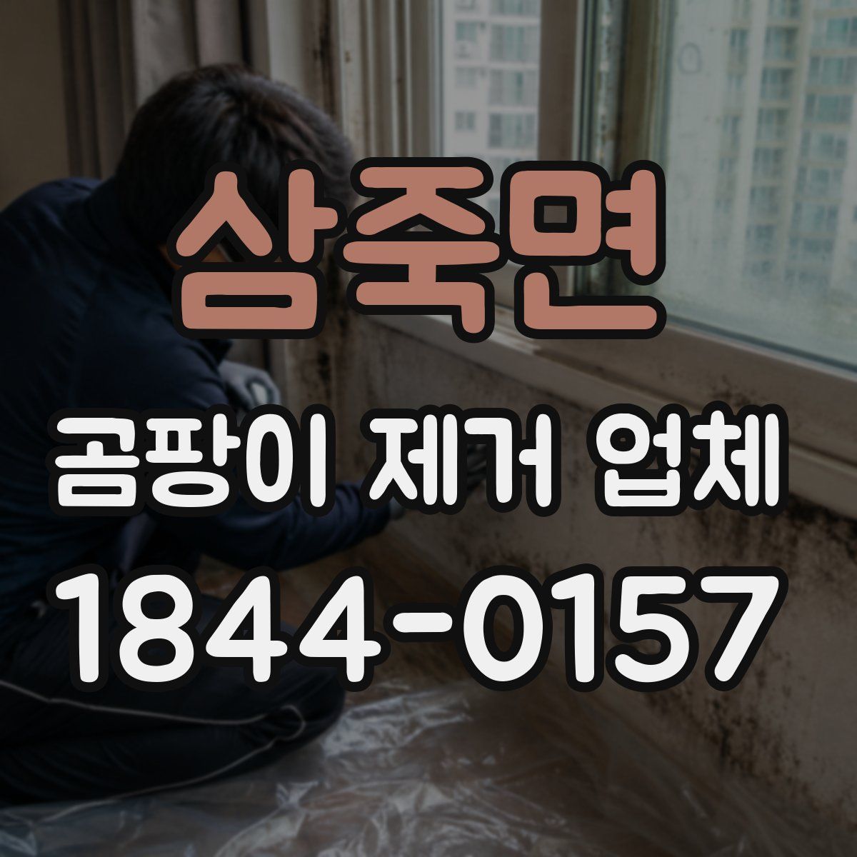 삼죽면 곰팡이 제거 업체
