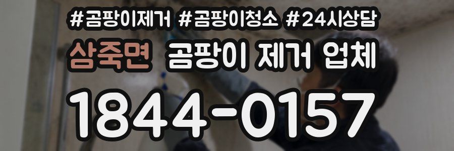 삼죽면 곰팡이 제거 업체