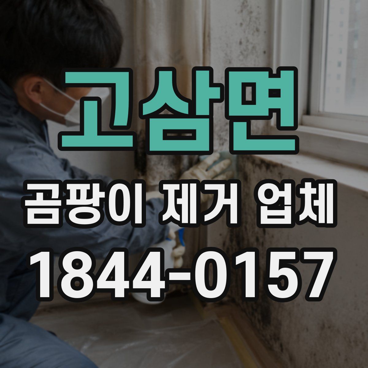 고삼면 곰팡이 제거 업체