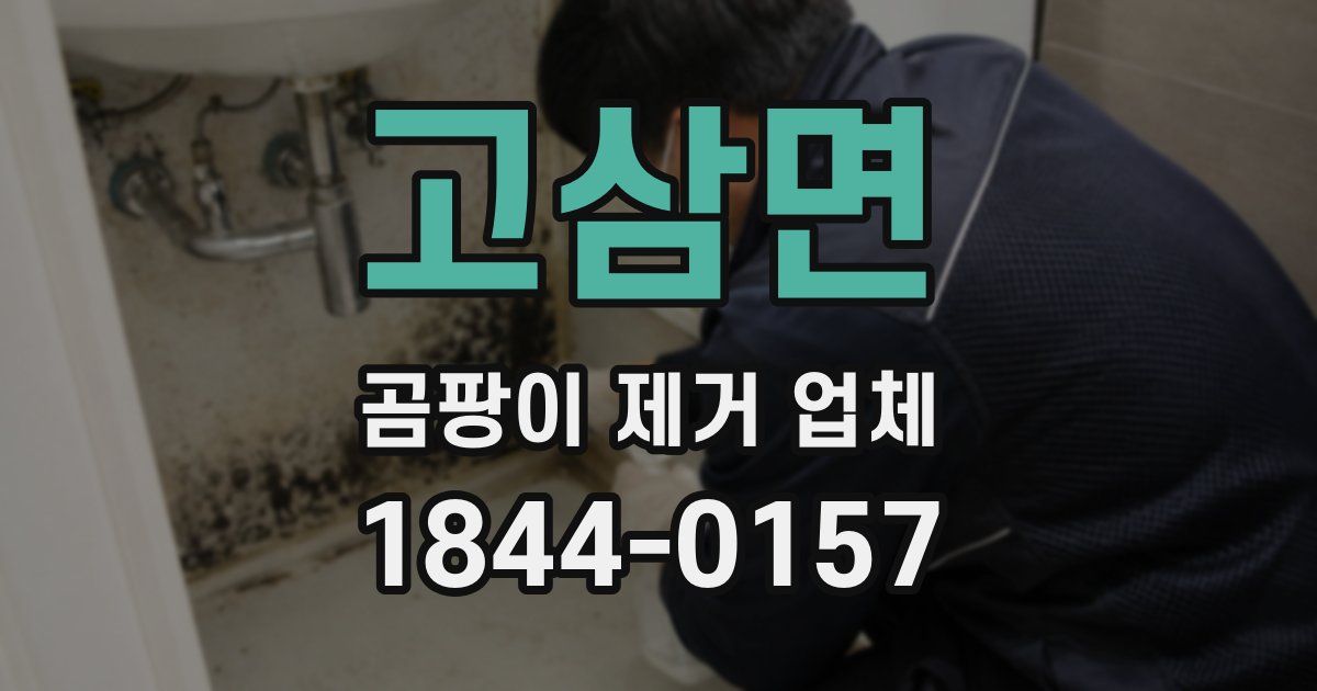 고삼면 곰팡이 제거 업체