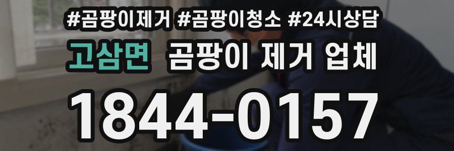 고삼면 곰팡이 제거 업체