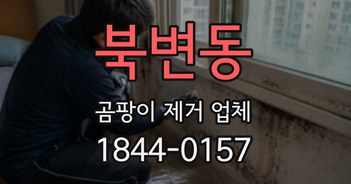 북변동 곰팡이 제거 업체