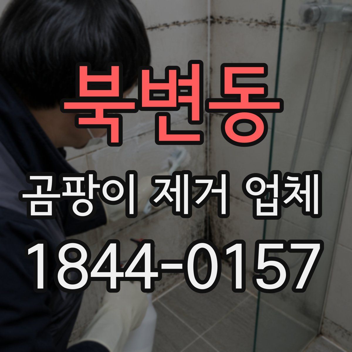 북변동 곰팡이 제거 업체