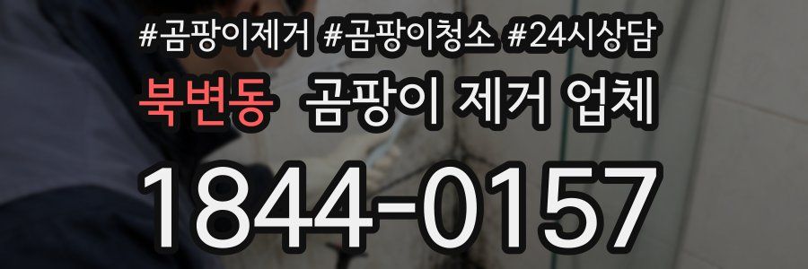 북변동 곰팡이 제거 업체