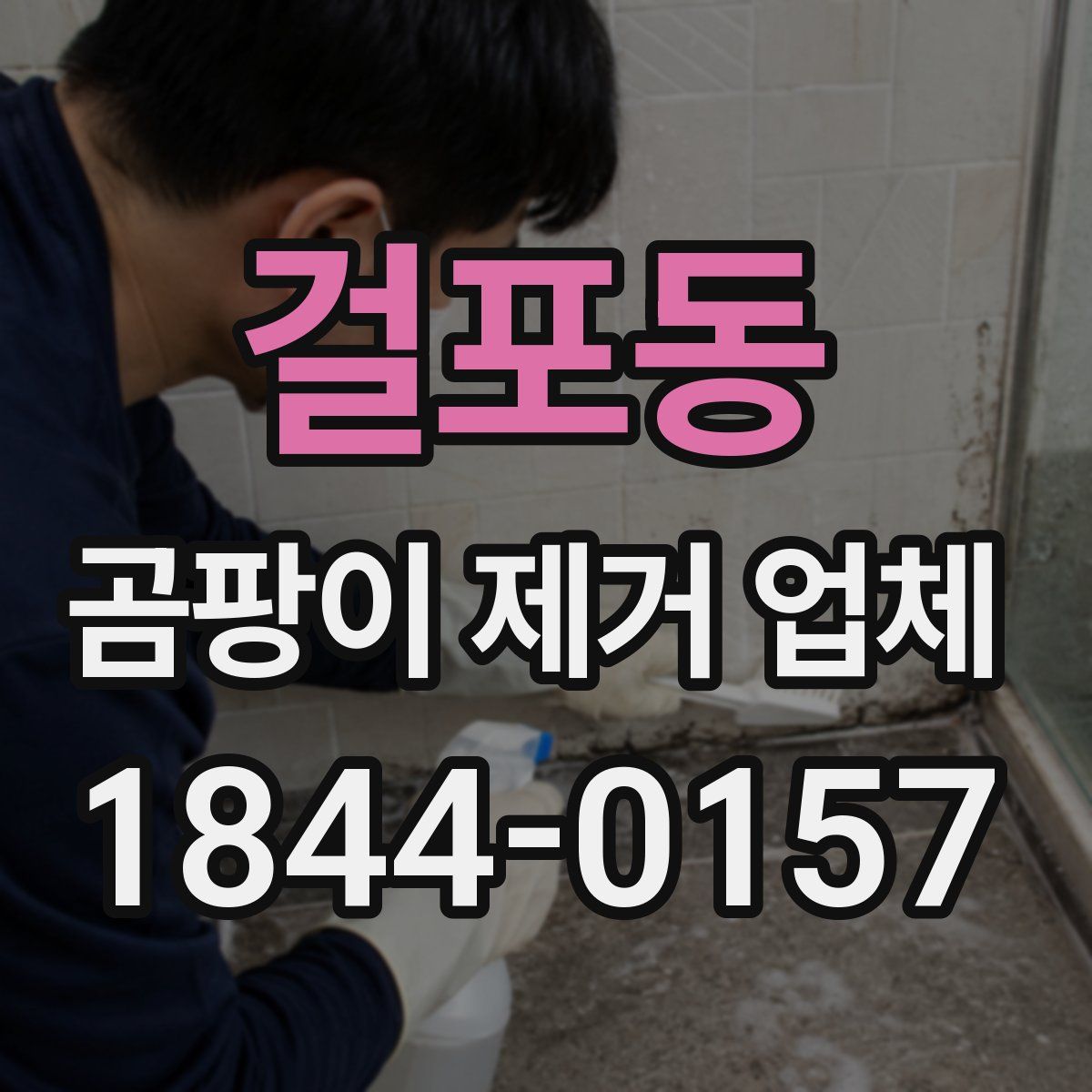 걸포동 곰팡이 제거 업체