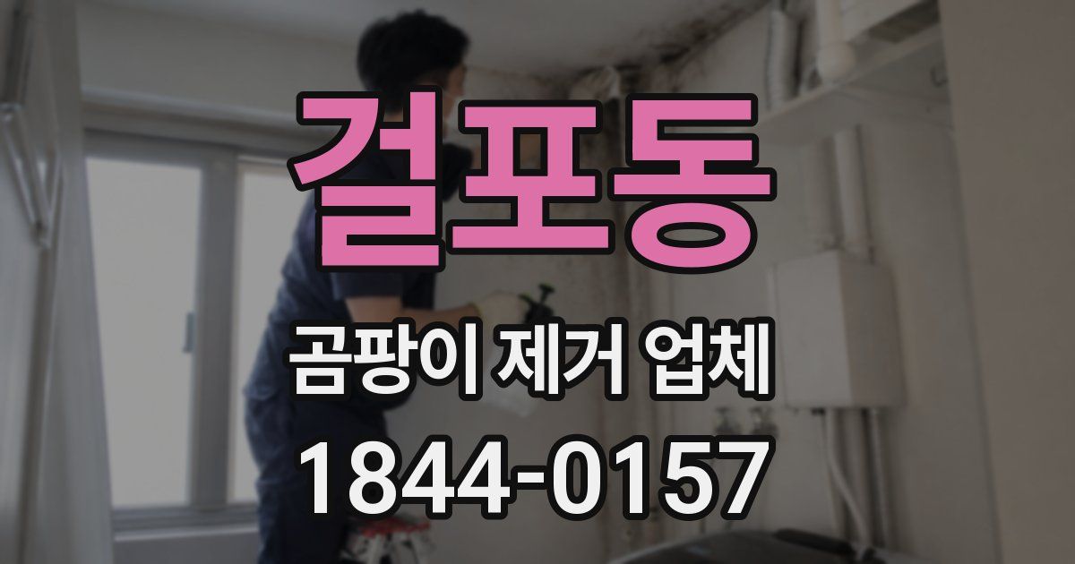 걸포동 곰팡이 제거 업체