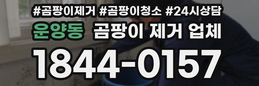 운양동 곰팡이 제거 업체