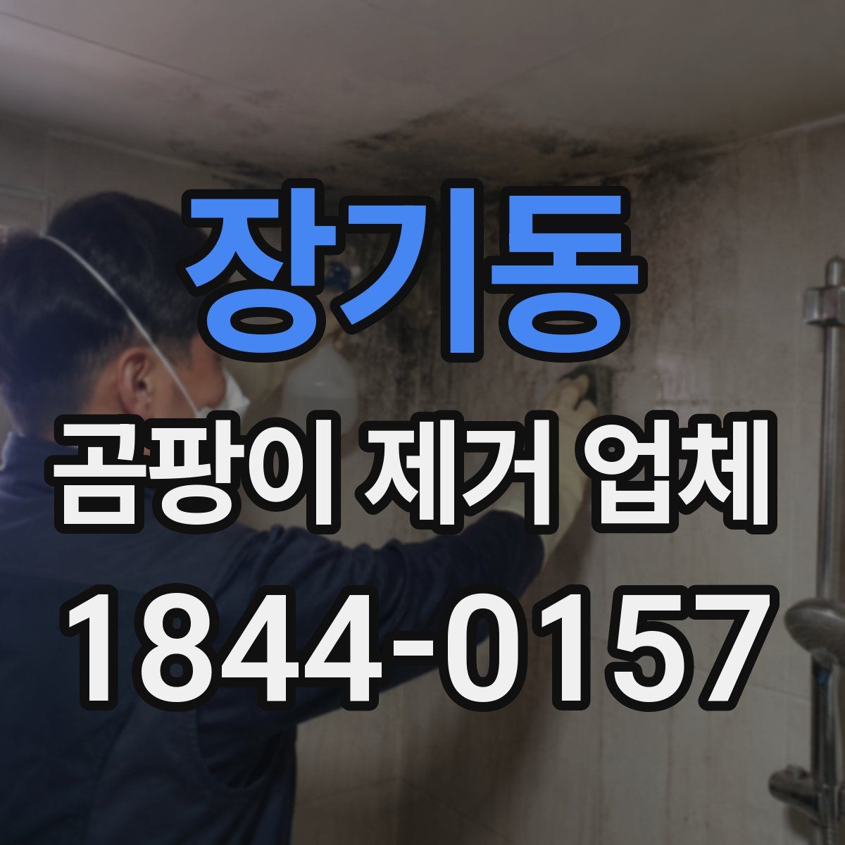 장기동 곰팡이 제거 업체