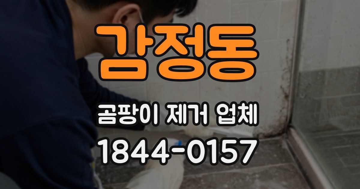 감정동 곰팡이 제거 업체