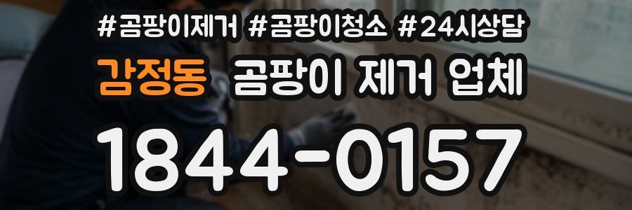 감정동 곰팡이 제거 업체
