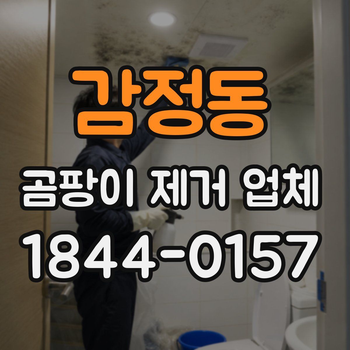 감정동 곰팡이 제거 업체