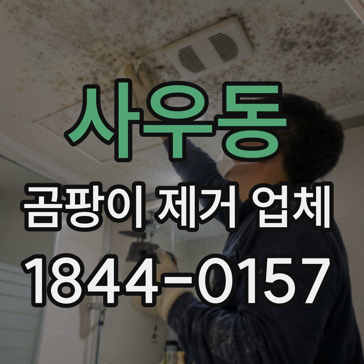 사우동 곰팡이 제거 업체 반복 발생하는 곰팡이의 원인 추적 과정