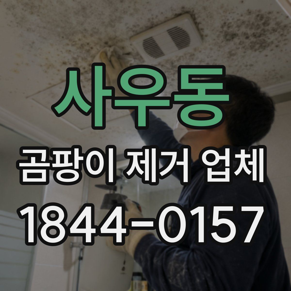 사우동 곰팡이 제거 업체