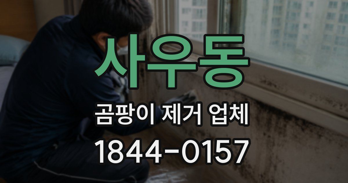 사우동 곰팡이 제거 업체