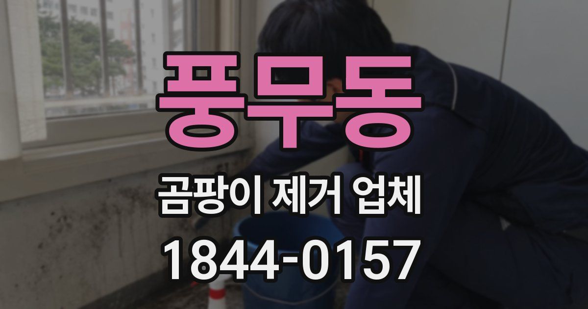풍무동 곰팡이 제거 업체