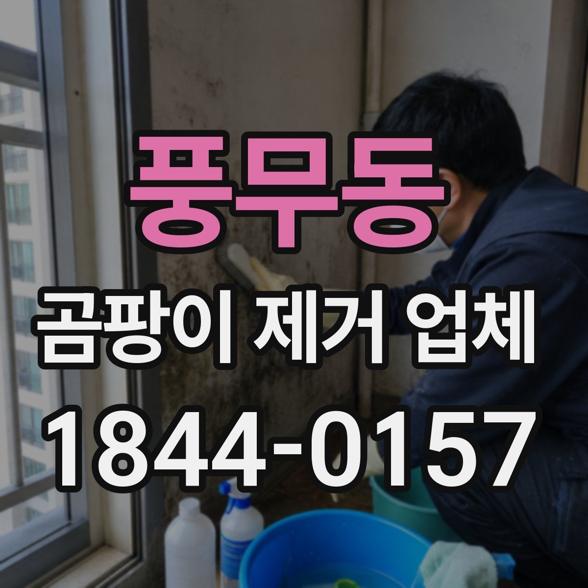 풍무동 곰팡이 제거 업체