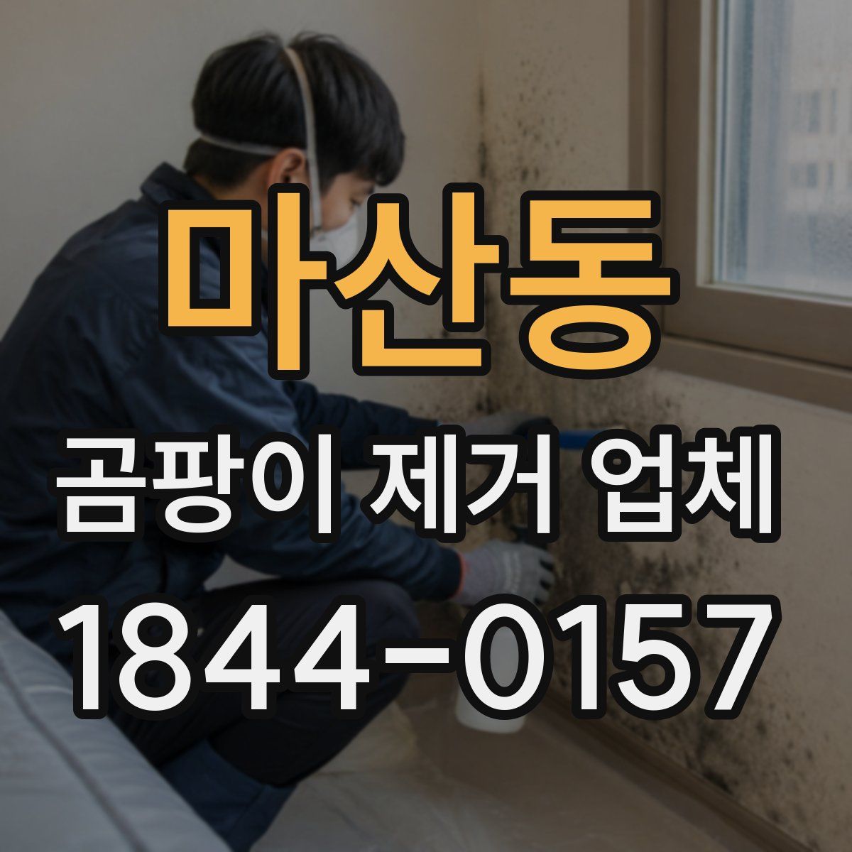 마산동 곰팡이 제거 업체