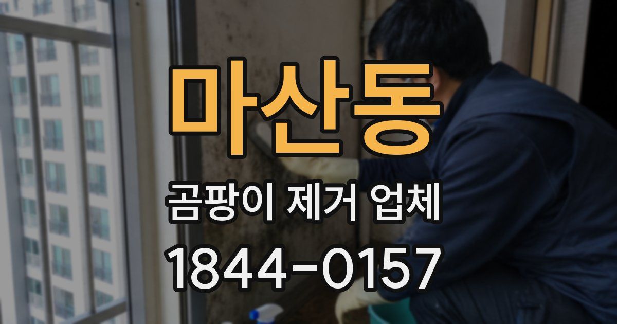 마산동 곰팡이 제거 업체