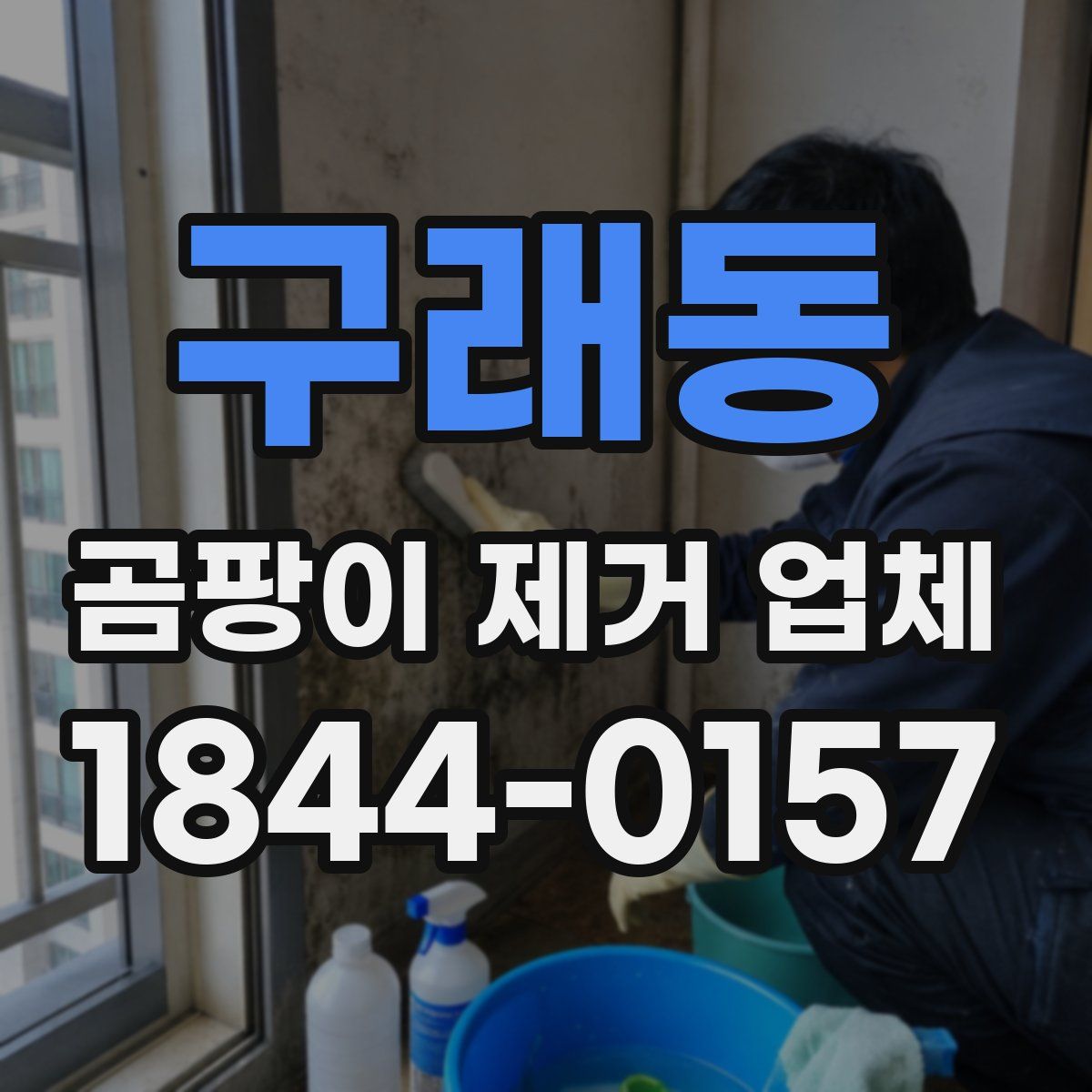 구래동 곰팡이 제거 업체